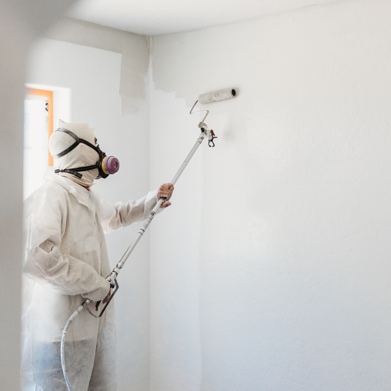 Titan SprayRoller